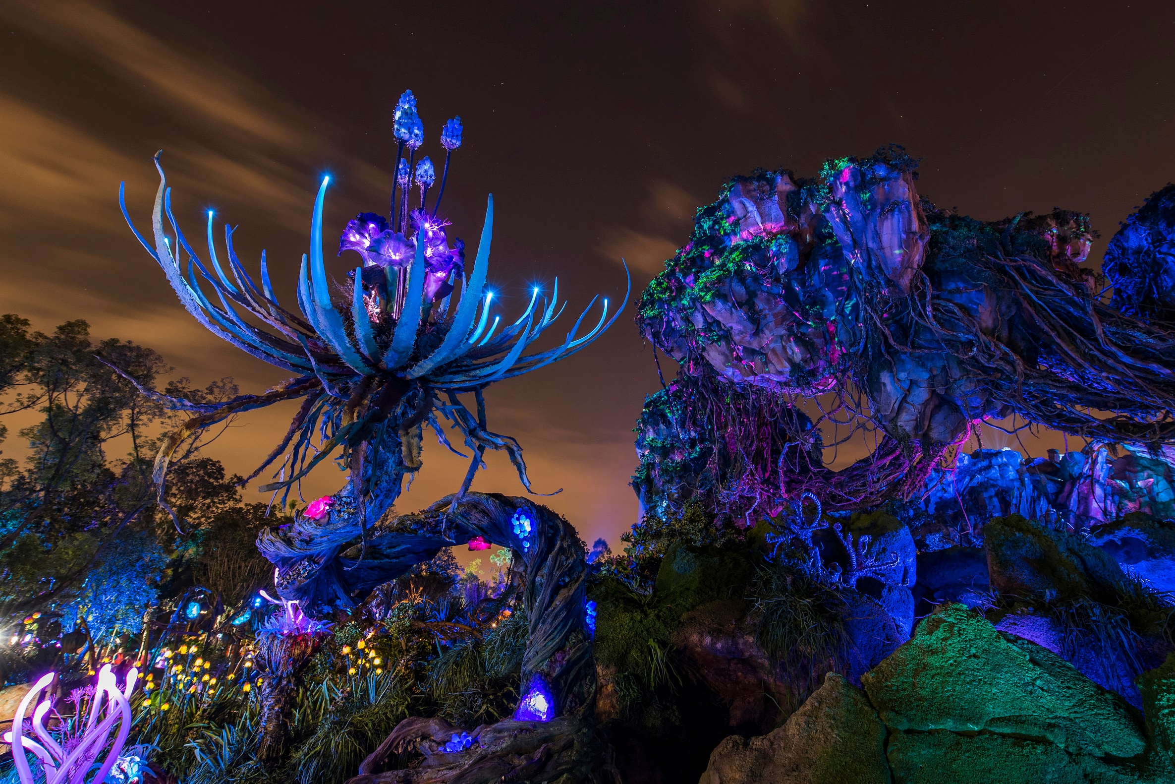Lessons From Pandora The World Of Avatar Disney Youth Programs Blog